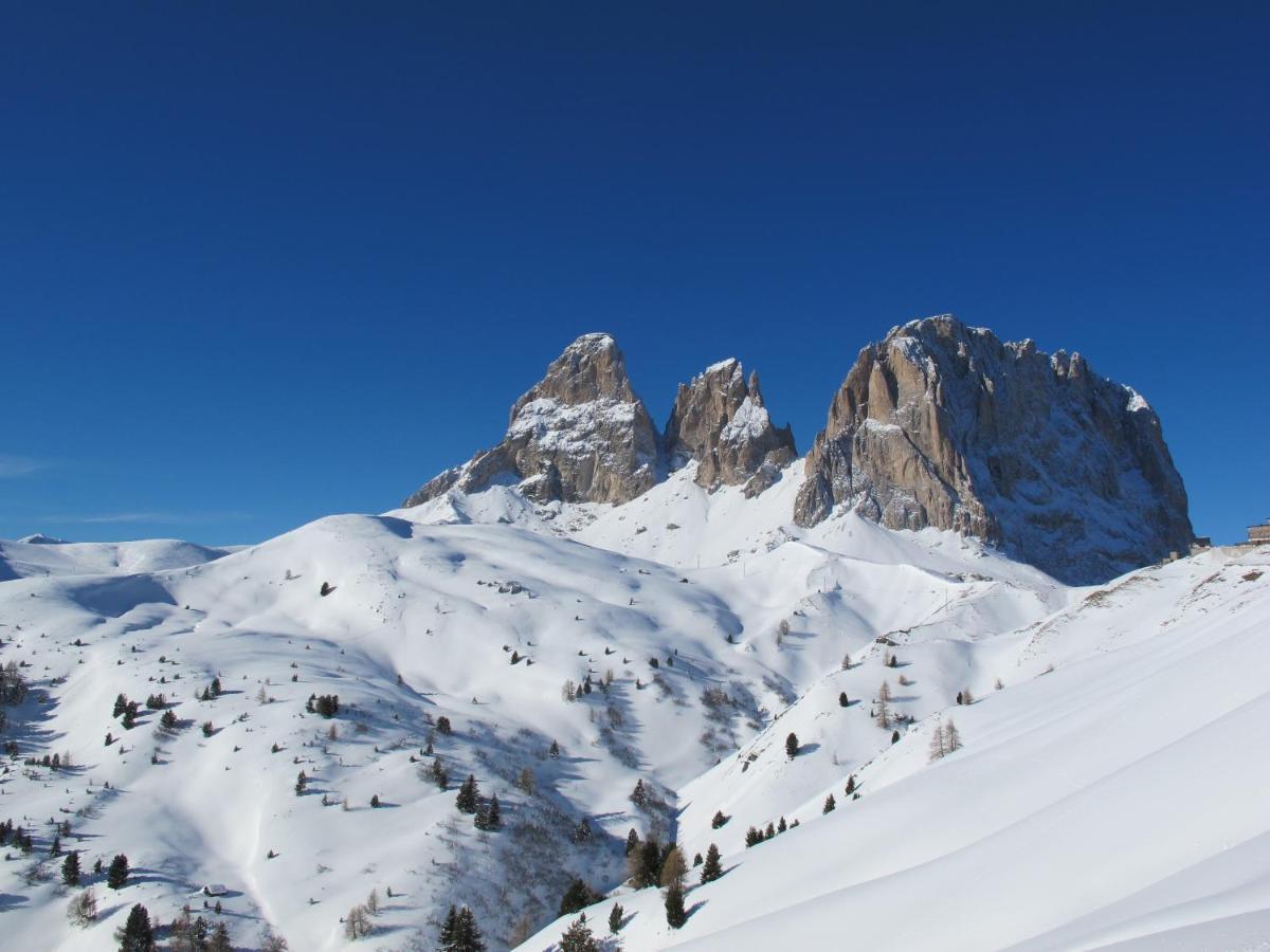 Hotel Soreghes Gran Chalet Campitello di Fassa Eksteriør bilde